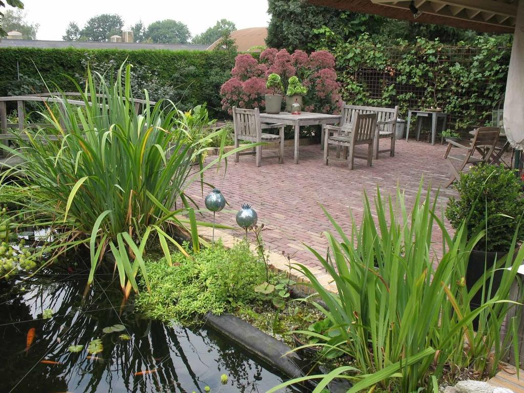 Altijd Zon Bed and Breakfast Oss Rum bild