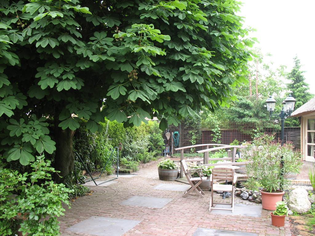 Altijd Zon Bed and Breakfast Oss Rum bild